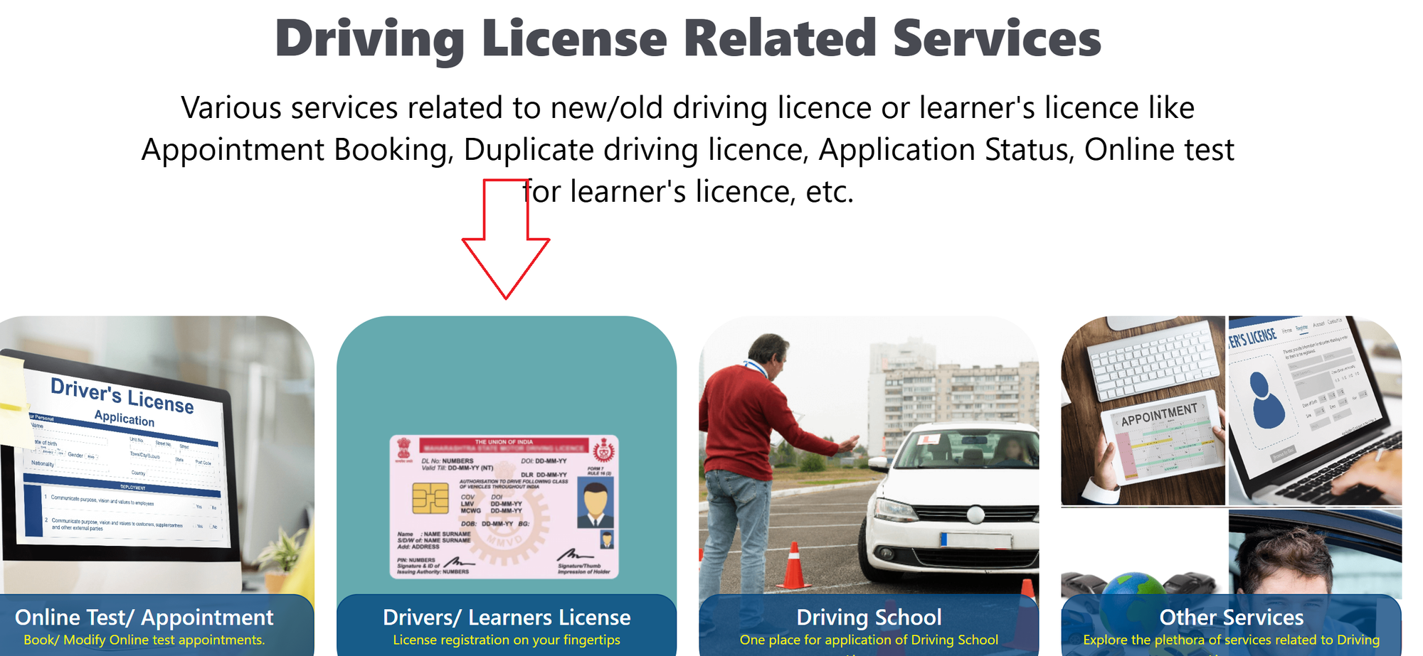 Licence Related Services
